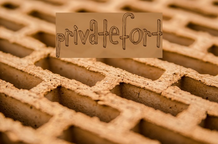 privatefort字体