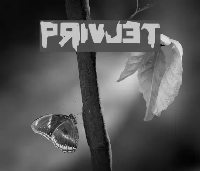 Privjet Font examples