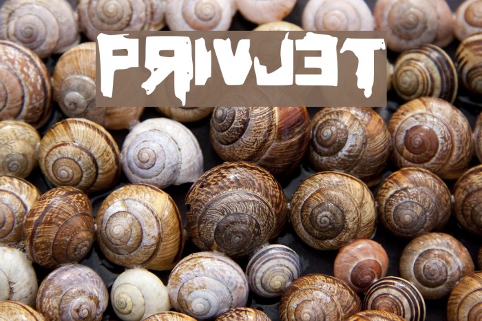 Privjet Font examples
