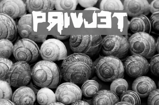 Privjet Font examples