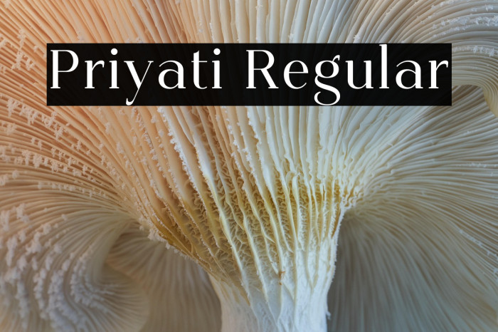 Priyati Regular Example 2