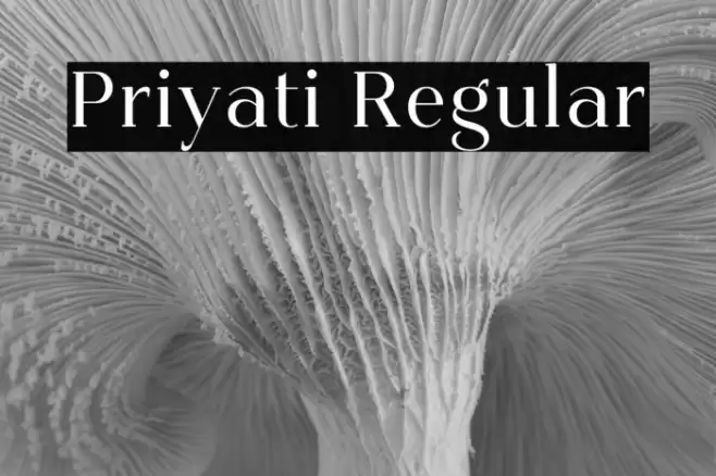 Priyati Regular Font examples