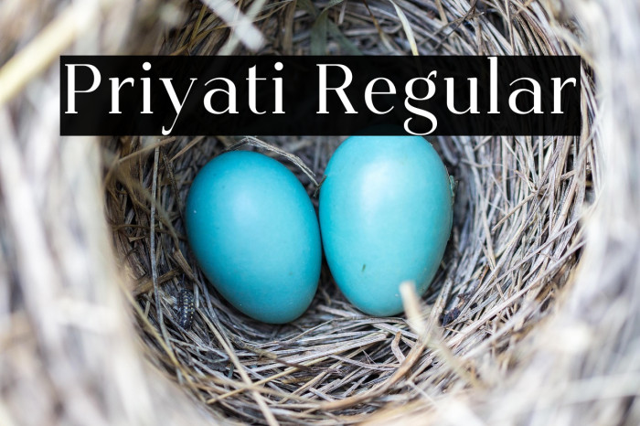 Priyati Regular Example 3