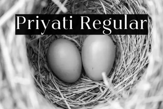Priyati Regular Font examples