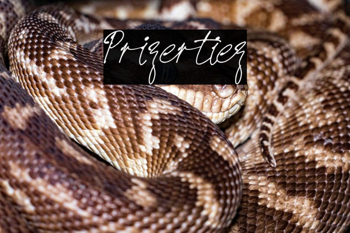 Prizertiez Example 3