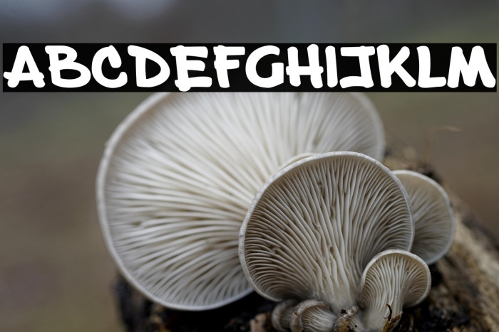 Prizma Fine2 Example 1