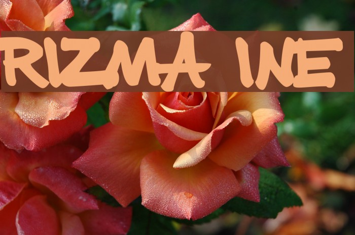 Prizma Fine Font examples
