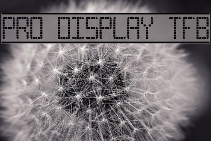 Pro Display tfb フォント examples