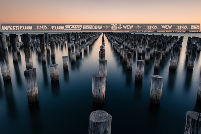 Pro Wrestling Logos Example 2