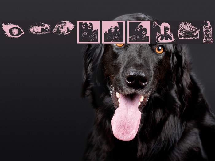 ProBeauty Font examples
