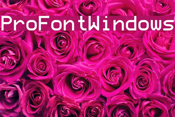 ProFontWindows Font examples