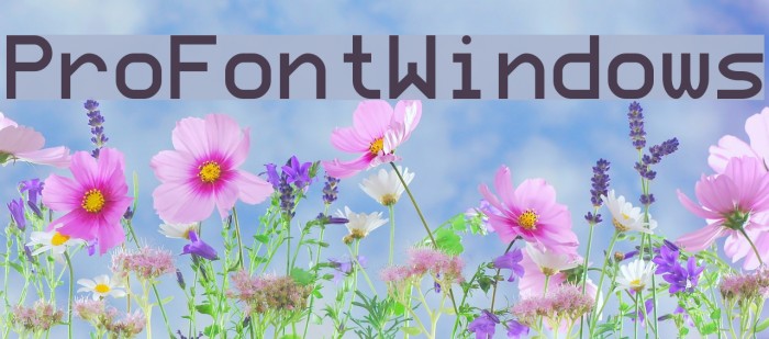 ProFontWindows Font examples