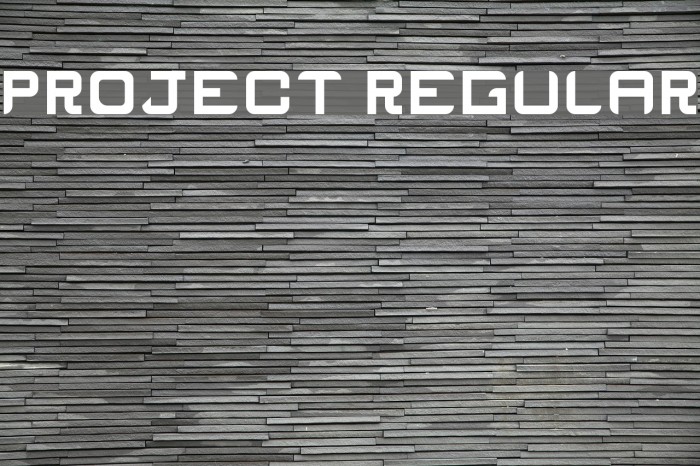 ProJecT Regular Font examples