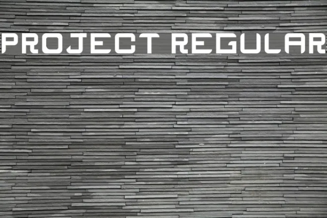 ProJecT Regular Example 3