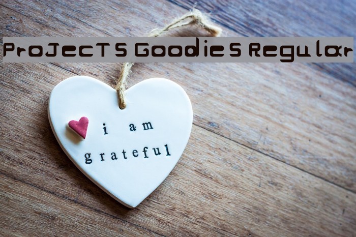 ProJecT's Goodies Regular Font examples
