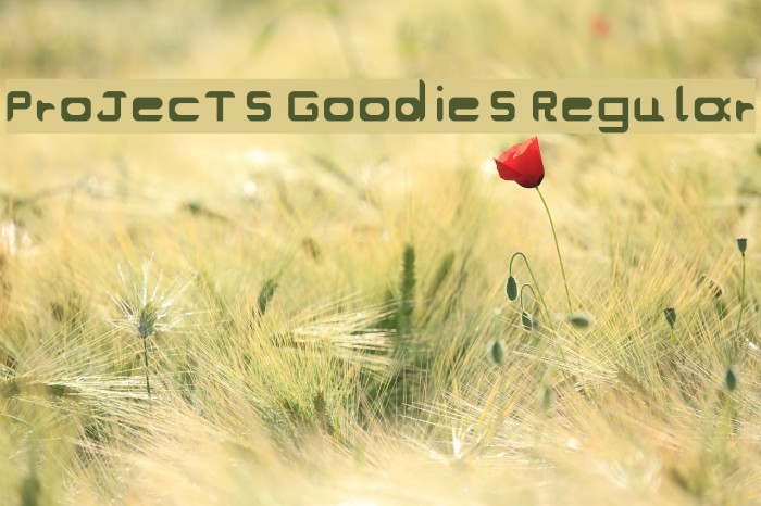ProJecT's Goodies Regular Font examples