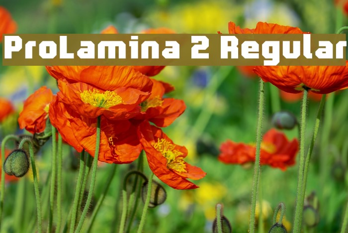 ProLamina 2 Regular Font examples