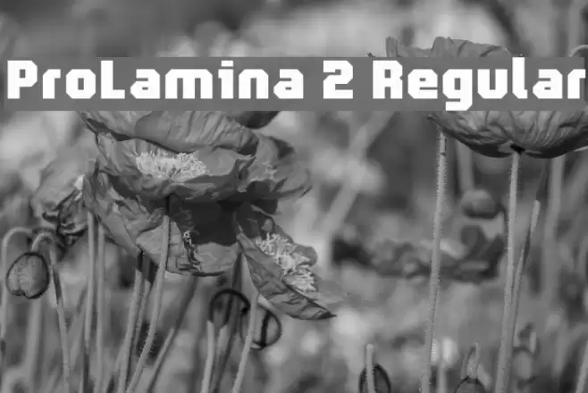 ProLamina 2 Regular Fonte examples