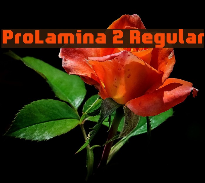 ProLamina 2 Regular Font examples