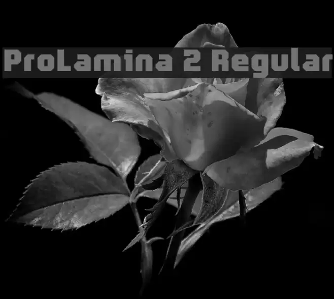ProLamina 2 Regular Fonte examples