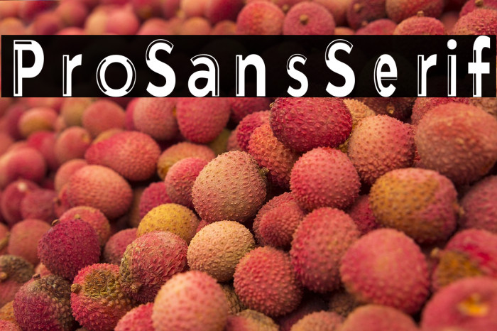 ProSansSerif Example 2
