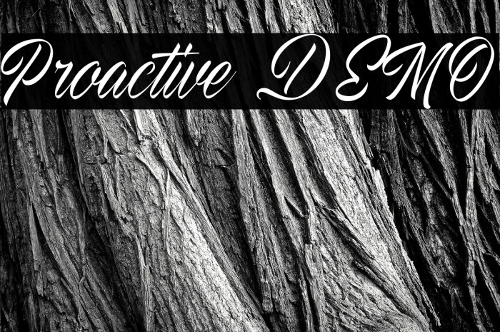 Proactive DEMO Example 1