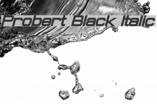 Probert Black Italic Schriftart examples