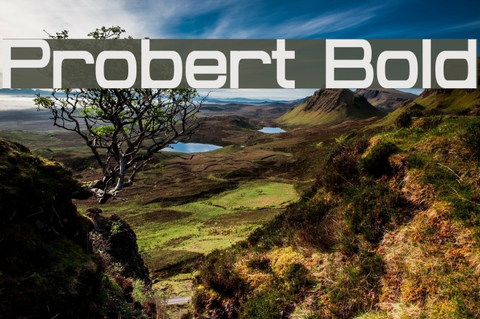 Probert Bold Font examples
