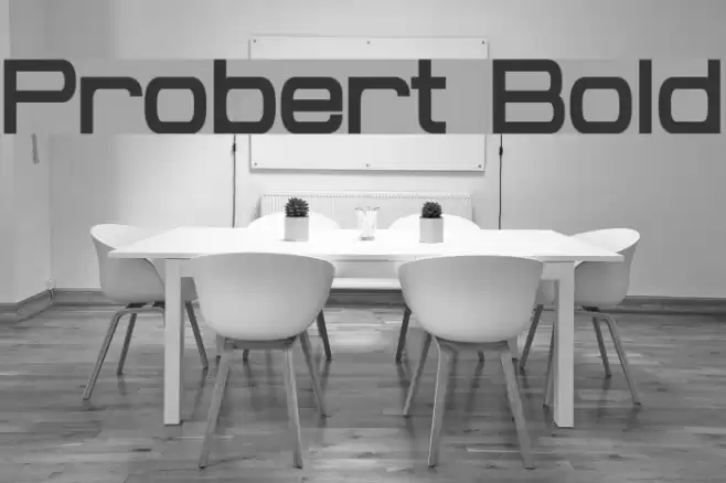 Probert Bold フォント examples