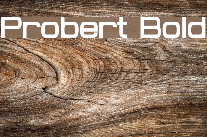 Probert Bold Font examples