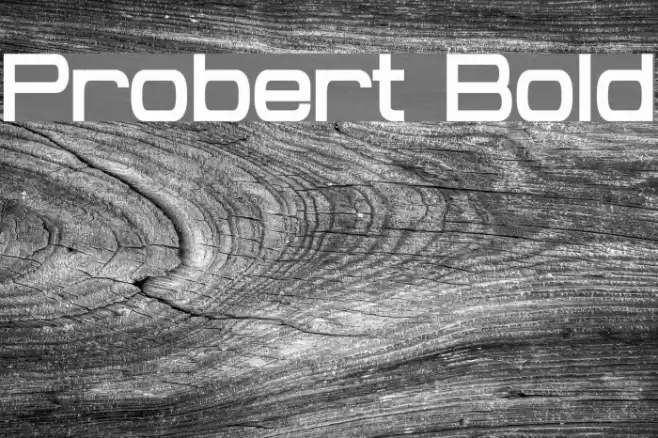 Probert Bold フォント examples