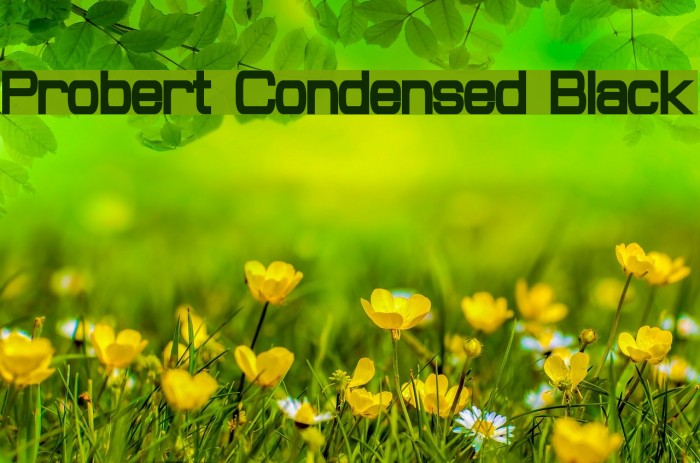 Probert Condensed Black Font examples