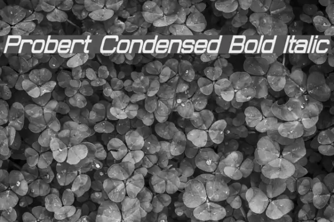 Probert Condensed Bold Italic Font examples