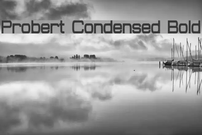 Probert Condensed Bold Fuentes examples