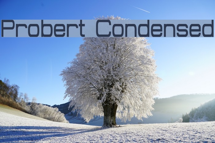 Probert Condensed Font examples