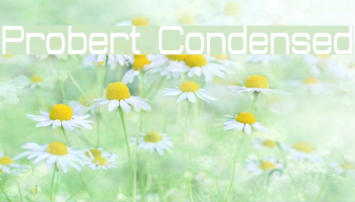 Probert Condensed Font examples