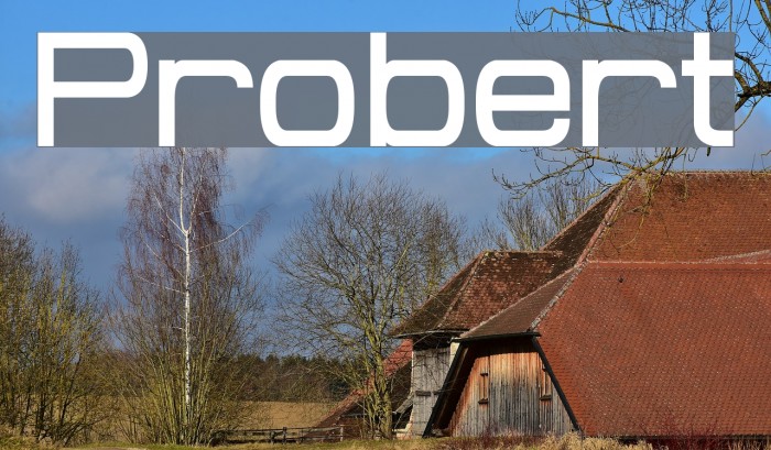 Probert Font examples
