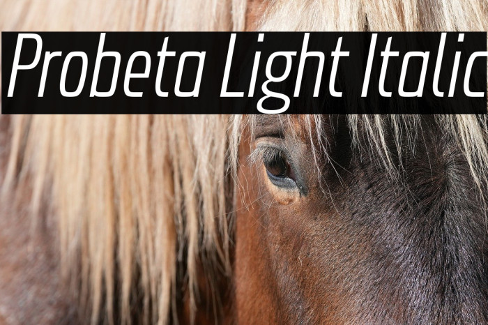 Probeta Light Italic Example 2