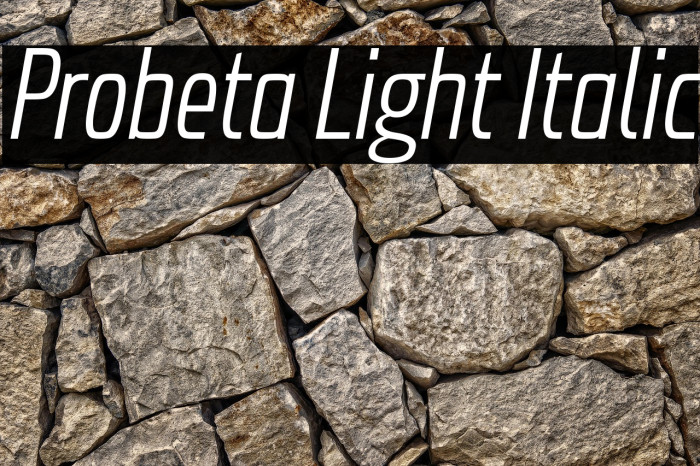 Probeta Light Italic Example 3