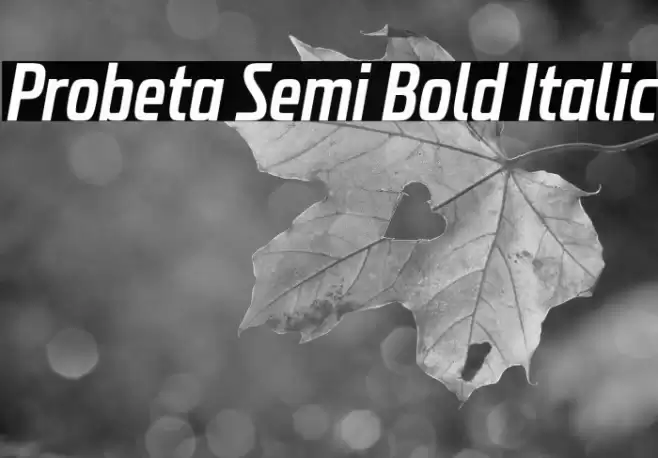 Probeta Semi Bold Italic Font examples
