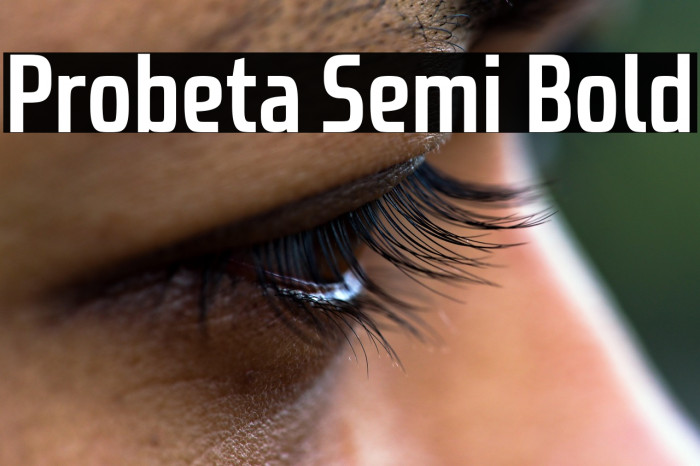 Probeta Semi Bold Example 2