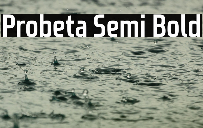 Probeta Semi Bold Example 3
