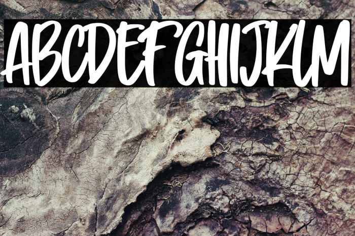 Problem Solver Example 1