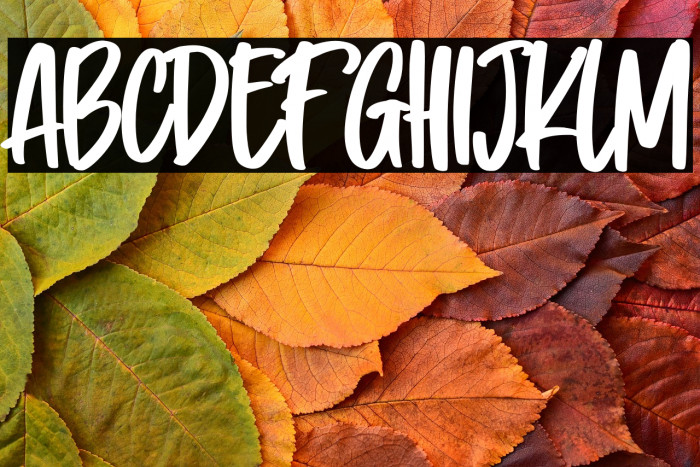 Problem Solver Example 2