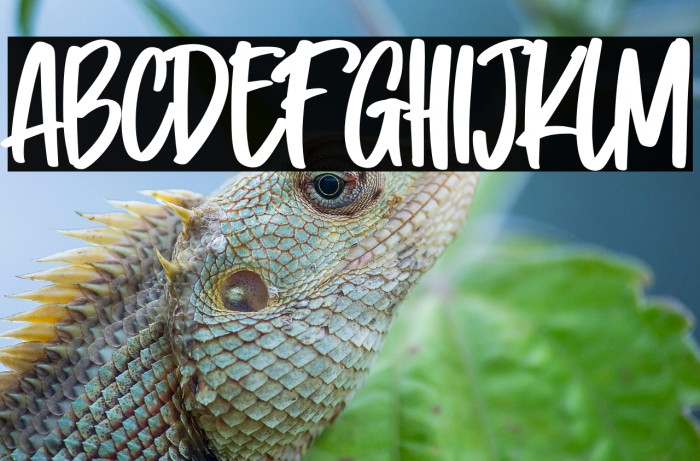 Problem Solver Example 3