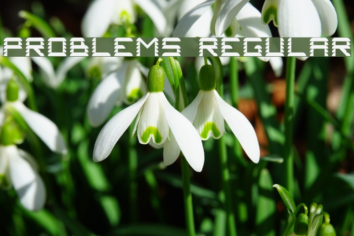 Problems 2 Regular Font examples