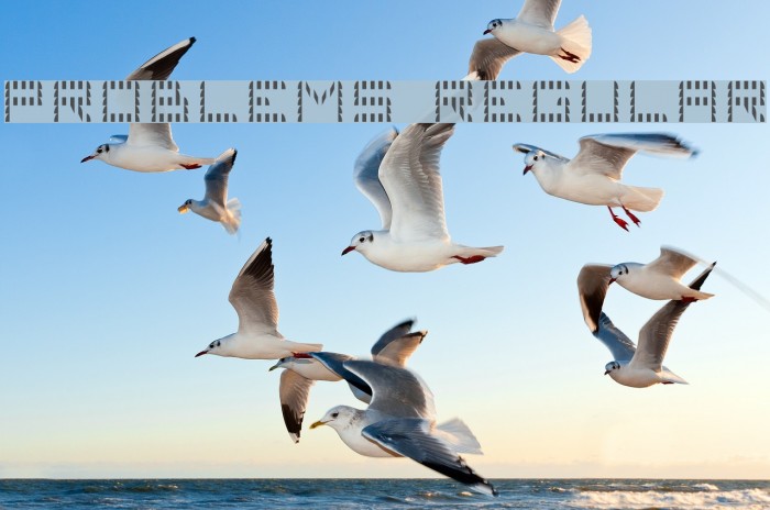 Problems 3 Regular Font examples