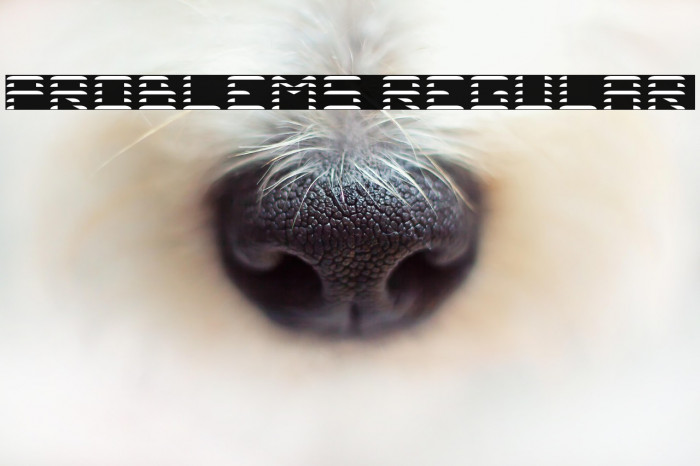 Problems Regular Example 3