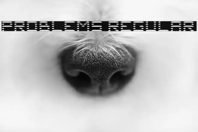 Problems Regular Font examples