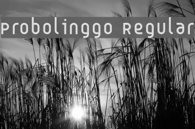 Probolinggo Regular Font examples